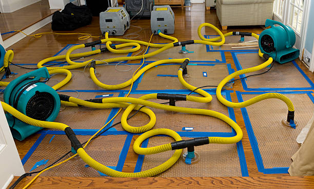 Professional Structural Drying And Dehumidification technician working in Oak Park, IL
